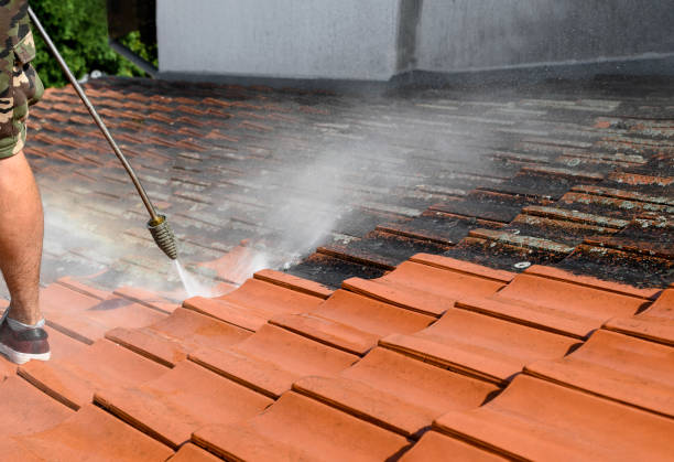 Best House Pressure Washing  in Ellisburg, NJ